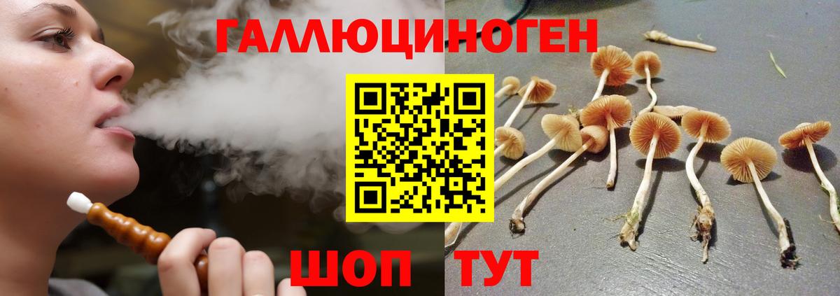Галлюциногенные грибы мицелий  Вход с VPN  Тында 